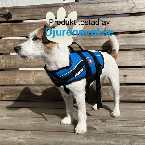 Hundflytväst bäst i test